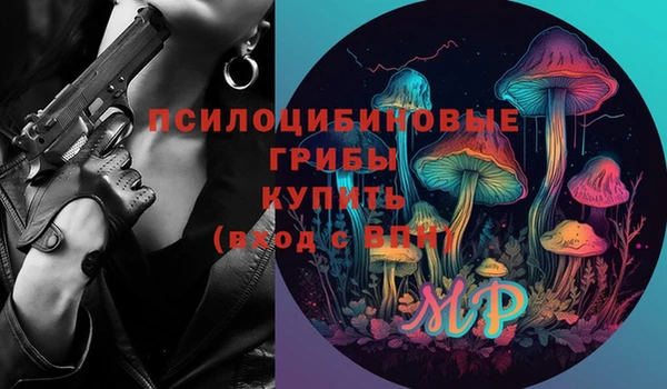 2c-b Гусь-Хрустальный