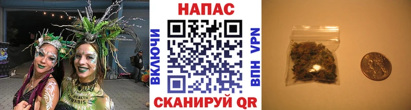 Бошки Шишки планчик  Усть-Илимск 